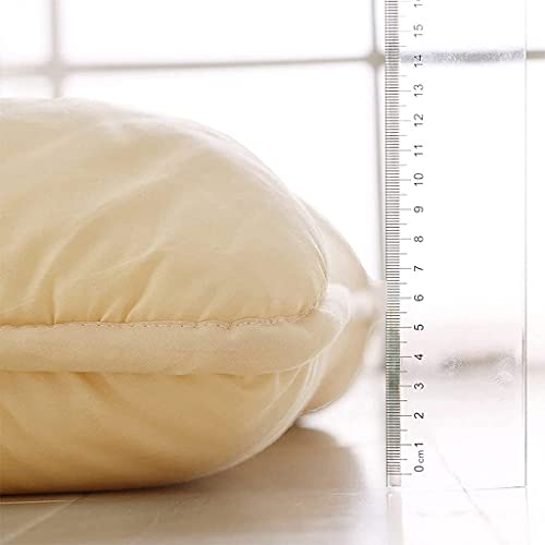 Colchones Colchón Futon Japones Plegable,Futon Japones para Dormir Suelo,Colchón De Futón,Tapete De Tatami Grueso para Dormir,Cama para Niños,Colchón para Dormitorio De Estudiantes Textiles del hogar