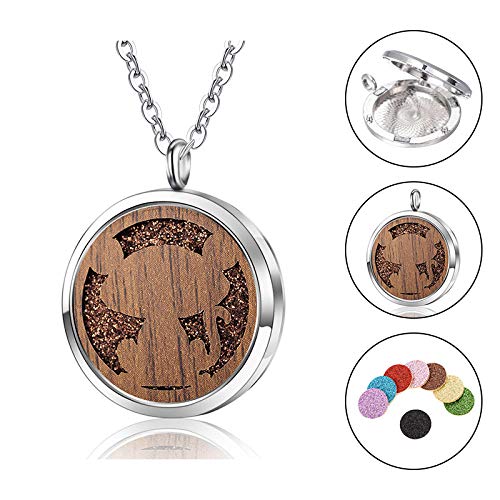 Collar De Difusor De Aceite Esencialaleación Retro Aromaterapia Animal Difusor De Aceite Esencial Perfume Abierto Magnético Caja Pequeña Collar De Gato Regalo De Cumpleaños