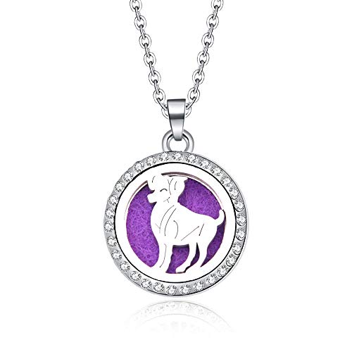 Collar De Difusor De Aceite Esencialcollar De Difusor De Aceites Esenciales De Aromaterapia De Acero Inoxidable Perfume Patrón De Playa Collar   Colgante De Medallón Magnético