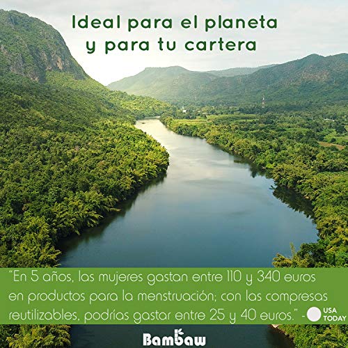 Compresas Reutilizables Ecológicas | Set de Compresas Lavables Para Mujeres | Pack de Salvaslip Reutilizable Para Todo Tipo de Flujos | Set de 5 Compresas de Tela | Productos Ecológicos | Bambaw