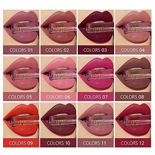 Conjunto de brillo de labios sexy de 12 colores Lápiz labial líquido aterciopelado Lápices labiales hidratantes impermeables de larga duración Lápiz labial líquido desnudo mate profesional