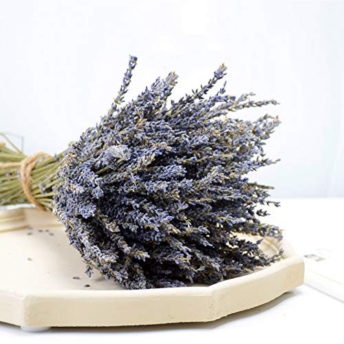 CoolCrafts Ramos de Lavanda Seca, 200+ Ramitas de Lavanda Seca Natural, Flores Secas Decoración del Hogar Ramos de Boda