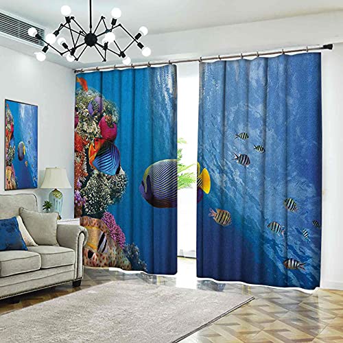 Cortinas plisadas con textura bajo el mar, Tropical Emperor Long Living Angelfish in Underwater Exotic Marine Animal Image, adecuado para puertas correderas de vidrio, ventanas de cocina, ancho 200 x