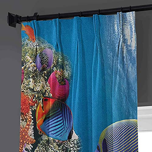 Cortinas plisadas con textura bajo el mar, Tropical Emperor Long Living Angelfish in Underwater Exotic Marine Animal Image, adecuado para puertas correderas de vidrio, ventanas de cocina, ancho 200 x