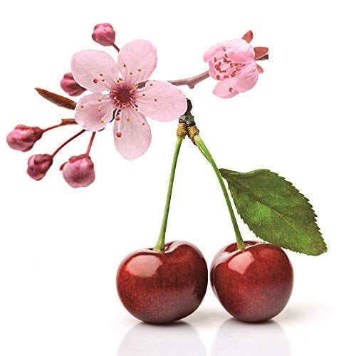 Creartec sapolina-soap-fragrance-oil – Cherry Blossom