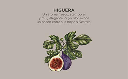 CRISTALINAS. Ambientador Mikado Premium. Difusor esférico con Varillas de ratán. 0% Alcohol.Mas de 4 semanas de duración. 20ml. Aroma Higuera. (3x20ml)