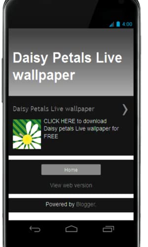 Daisy Petals wallpaper