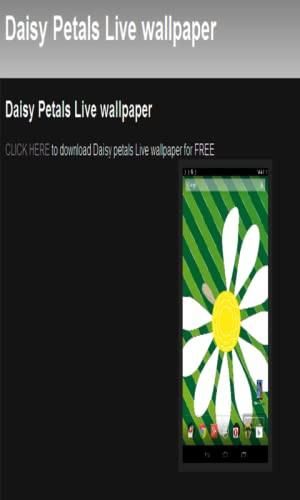 Daisy Petals wallpaper