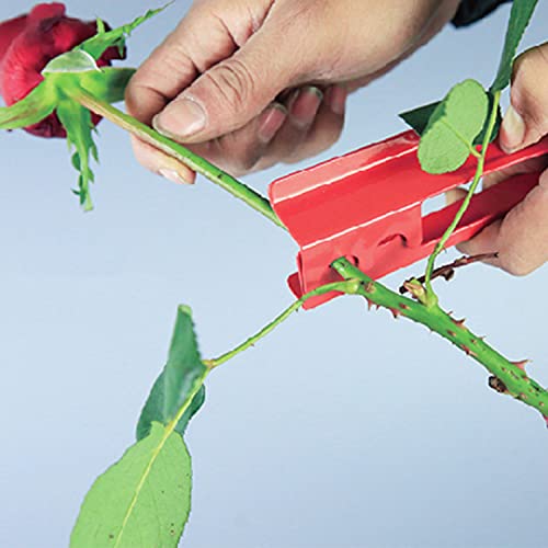 DEANKEJI 3 Piezas Herramientas de Poda de Rosas, Incluye Dos Herramientas para Quitar Hojas de Rosas y un Alicate para Flores, Metal Herramientas de Jardín, para el Hogar, Jardín, Floristería