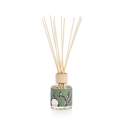 Decoragloba Ambientador Mikado Paseo Silvestre 100ml Perfume, Difusor de Varillas perfumadas, Aroma a Pino, Romero y Eucalipto Duradero, 5.8 cm