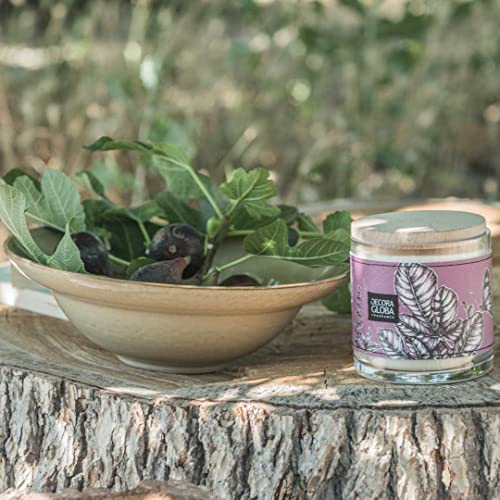 Decoragloba artesanal Vela en frasco Cera 100% vegetal Bajo la Higuera 200 g