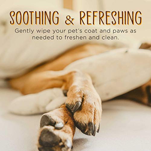 Dhohoo Toallitas de Aseo Para Mascotas, Toallitas de Limpieza Hipoalergénicas para Perros y Gatos, Limpiador de Patas y Orejas para Perros y Gatos, Toallitas Naturales para Mascotas. (80 unidades)