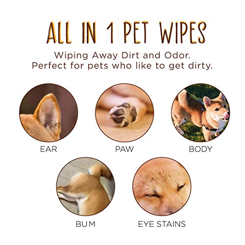 Dhohoo Toallitas de Aseo Para Mascotas, Toallitas de Limpieza Hipoalergénicas para Perros y Gatos, Limpiador de Patas y Orejas para Perros y Gatos, Toallitas Naturales para Mascotas. (80 unidades)