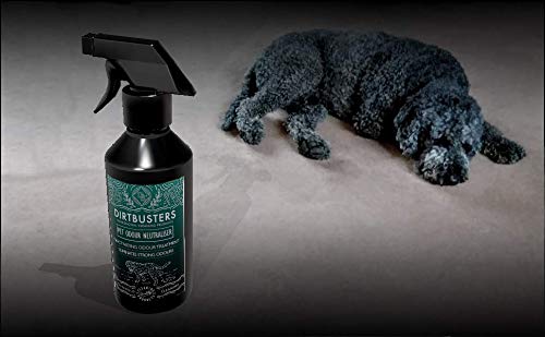 Dirtbusters Pet Carpet and Upholstery Eliminador de olores y orina desodorante neutralizador fragancia Higo salvaje y Cassis 500ml