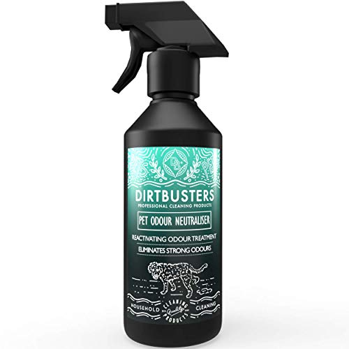 Dirtbusters Pet Carpet and Upholstery Eliminador de olores y orina desodorante neutralizador fragancia Higo salvaje y Cassis 500ml