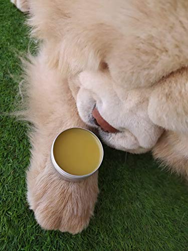 Doxel Eco Balm, Bálsamo Natural para Perros, Hidrata, Nutre, Protege, Repara y Calma Las Almohadillas Patas y Nariz, Protector Piel, 100% Natural, 100% ECOLÓGICO, 45ml, Amarillo