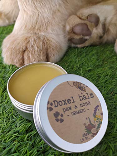Doxel Eco Balm, Bálsamo Natural para Perros, Hidrata, Nutre, Protege, Repara y Calma Las Almohadillas Patas y Nariz, Protector Piel, 100% Natural, 100% ECOLÓGICO, 45ml, Amarillo