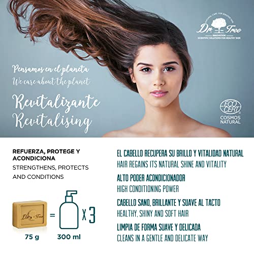 Dr. Tree | Champú Sólido 2 en 1 Revitalizante | Champú Sólido + Acondicionador Ecológico | Refuerza, protege y acondiciona | Cabello Seco Y dañado | 99% Ingredientes Naturales ECOCERT | 75gr