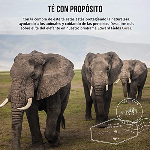 Edward Fields Tea ® - Té negro English Breakfast orgánico a granel. Té bio recolectado a mano con ingredientes y aromas naturales, 100 gramos, India.
