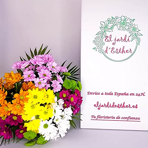 EL JARDÍ D´ESTHER-Ramo de margaritas variadas-Euforia-FLORES NATURALES A DOMICILIO-FLORES FRESCAS-ENTREGA EN 24 HORAS DE LUNES A SABADO