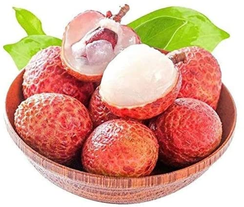 El Lichi Es Una De Las Frutas Favoritas De Los Jardineros La Fruta Tiene Un Aroma único Y Atractivo Y Es Muy Popular Entre Los Niños 10 Piezas Semillas De Lichi GLTING