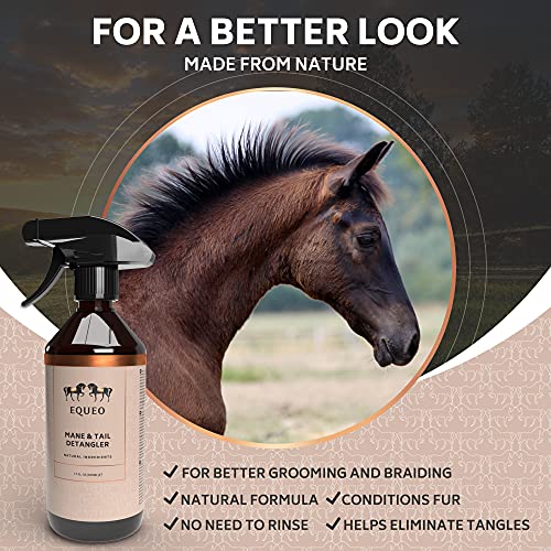 EQUEO Spray Desenredante de Crines Caballo y Cola de Caballo - Complemento Ideal para Agregar a tu Caballos Accesorios - Efecto Brillante Sin Enjuague - Alternativa Rápida al Champú de Caballo, 500 ml