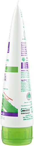 Equilibra Cuidado Corporal, Piernas Ligeras Gel a Base de Aloe Vera Fresco, Efecto Hielo, Promueve la Circulación de las Piernas en Situaciones de Estrés Microcirculatorio, Alivio y Bienestar, 125 ml