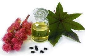 Essenciales - Aceite Vegetal de Ricino (Máxima Calidad), 100% PURO, 1 Litro | Aceite Vegetal Ricinus Communis, 1º Presión en Frío