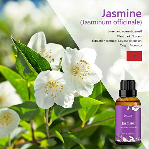 ESSLUX Aceite Esencial de Jazmín, Aceites Esenciales para Difusor, Masaje, Jabón, Fabricación de Velas, Perfume, 30 ml