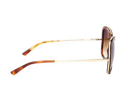 Etnia Barcelona MARACAIBO HAVANA GOLD (HVGD) - Gafas de sol