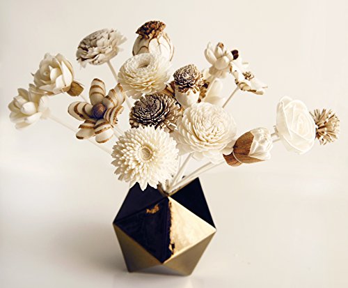 Exotic Plawanature - Juego de 25 flores de madera mezcladas con difusor de caña para aceite aromático para el hogar.