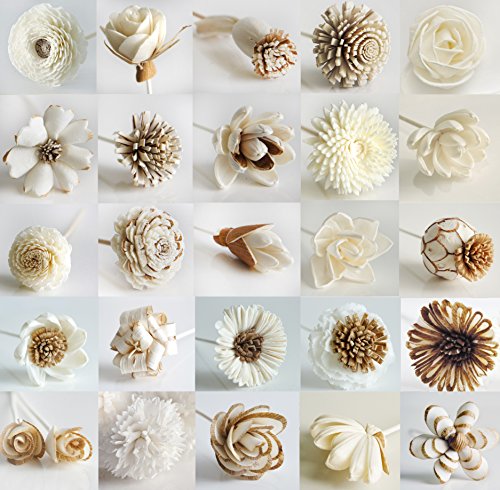Exotic Plawanature - Juego de 25 flores de madera mezcladas con difusor de caña para aceite aromático para el hogar.