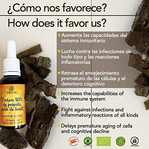 Extracto líquido de Propoleo verde de Brasil 30 ml - BIO. Tintura madre antibacteriana, antivírica y potenciador del sistema inmunitario. 100% Natural, Sin gluten, 25% peso/volumen.