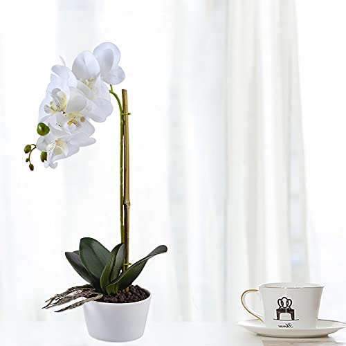 Famibay Orquídeas Artificiales con Maceta Blanca Flores Orquideas Planta Flores de Phalaenopsis para Decoración del Hogar