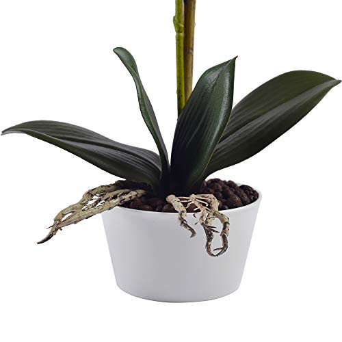 Famibay Orquídeas Artificiales con Maceta Blanca Flores Orquideas Planta Flores de Phalaenopsis para Decoración del Hogar
