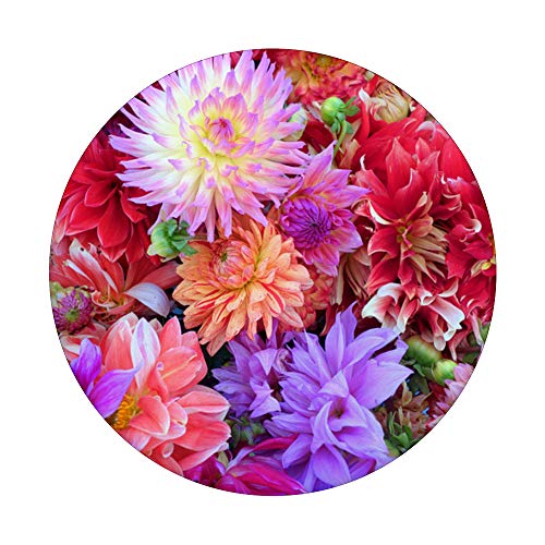 Floral de Dalias en Lavandas y Rosas - PopSockets PopGrip Intercambiable