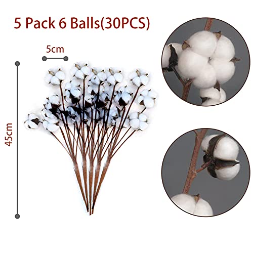 Flores De Algodón Seco Tallos De Flores Secas Decorativas Artificiales Blancas Ramo De Artificial Flores Naturales Sala de Estar Decorativa, Dormitorio Naturales Ramos De Flores, 5 Pack 6 Bolas[30pcs]
