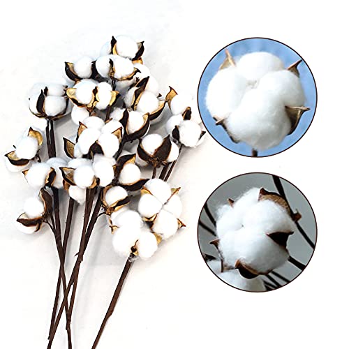 Flores De Algodón Seco Tallos De Flores Secas Decorativas Artificiales Blancas Ramo De Artificial Flores Naturales Sala de Estar Decorativa, Dormitorio Naturales Ramos De Flores, 5 Pack 6 Bolas[30pcs]