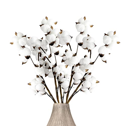 Flores De Algodón Seco Tallos De Flores Secas Decorativas Artificiales Blancas Ramo De Artificial Flores Naturales Sala de Estar Decorativa, Dormitorio Naturales Ramos De Flores, 5 Pack 6 Bolas[30pcs]