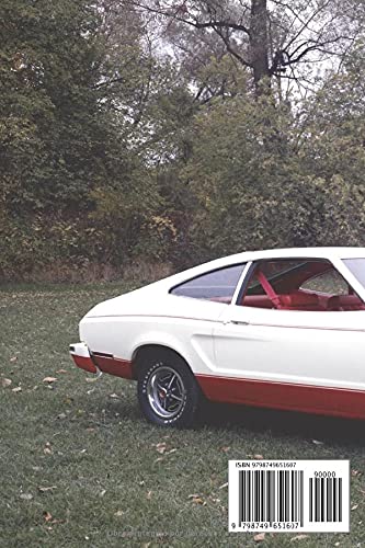 FORD MUSTANG 2: REGISTRO DE RESTAURACIÓN Y MANTENIMIENTO