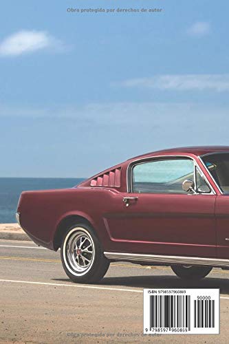 FORD MUSTANG: REGISTRO DE RESTAURACIÓN Y MANTENIMIENTO