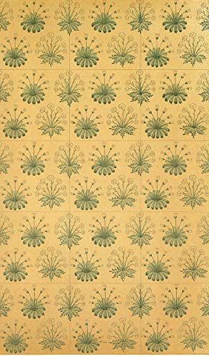 Full-colour Patterns and Designs (Dover Pictorial Archive)
