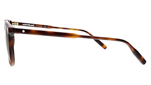 Gafas de Sol Mont Blanc MB0006S HAVANA/BROWN 52/20/150 hombre