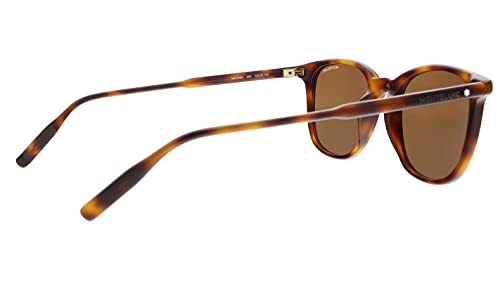 Gafas de Sol Mont Blanc MB0006S HAVANA/BROWN 52/20/150 hombre