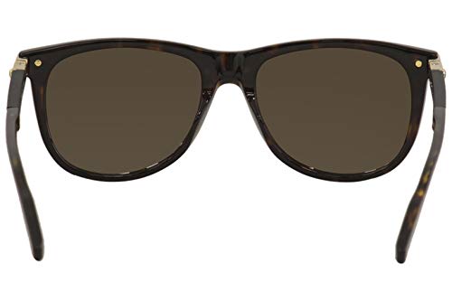 Gafas de sol Montblanc MB 0031 S- 008 HAVANA/MARRÓN NEGRO