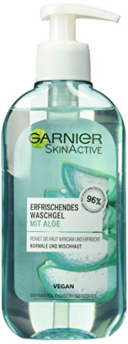 Garnier Esquí nactive waschgel con extracto de aloe normal y piel Mixta, 200 ml