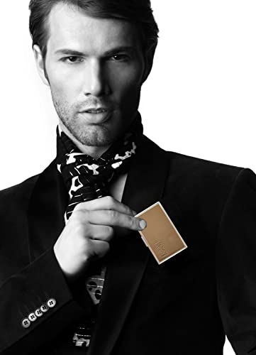 GC ® Estuche de metal precioso original compatible con Iqos Heets - pitillera / Estuche Heets de acero inoxidable con cuero genuino