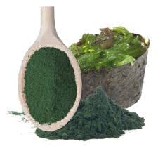 Gel Jabon sólido de Alga Espirulina natural para cuerpo y rostro artesanal y ecológico - 100% natural y vegano. Sin sulfatos ni parabenos.