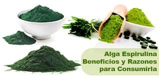 Gel Jabon sólido de Alga Espirulina natural para cuerpo y rostro artesanal y ecológico - 100% natural y vegano. Sin sulfatos ni parabenos.