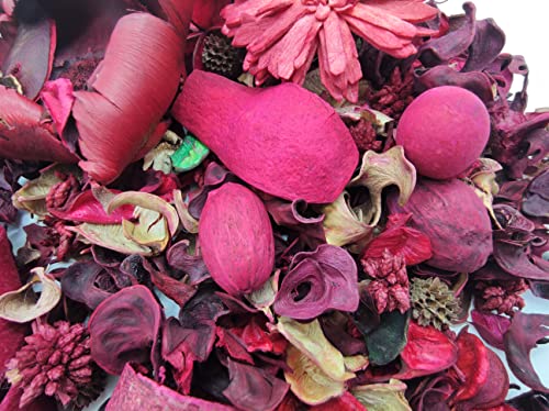 GERILEO Lote de 2 Bolsas de Potpourri aromático y Decorativo con Flores secas de Frambuesa - Flores secas para decoración - Popurrí (2 Bolsas XL Frambuesa)